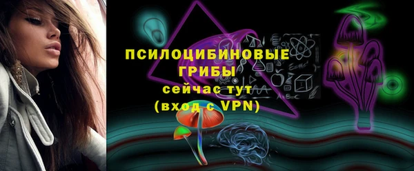 ПСИЛОЦИБИНОВЫЕ ГРИБЫ Алексеевка
