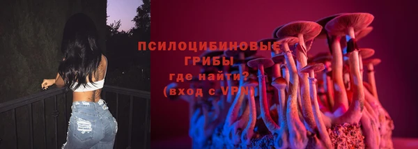 ПСИЛОЦИБИНОВЫЕ ГРИБЫ Алексеевка