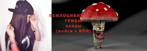 ПСИЛОЦИБИНОВЫЕ ГРИБЫ Алексеевка